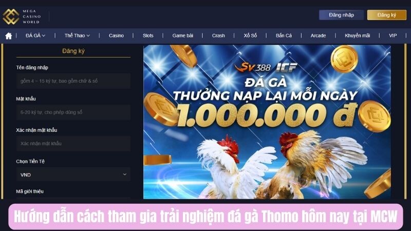 Hướng dẫn cách tham gia trải nghiệm đá gà Thomo hôm nay tại MCW