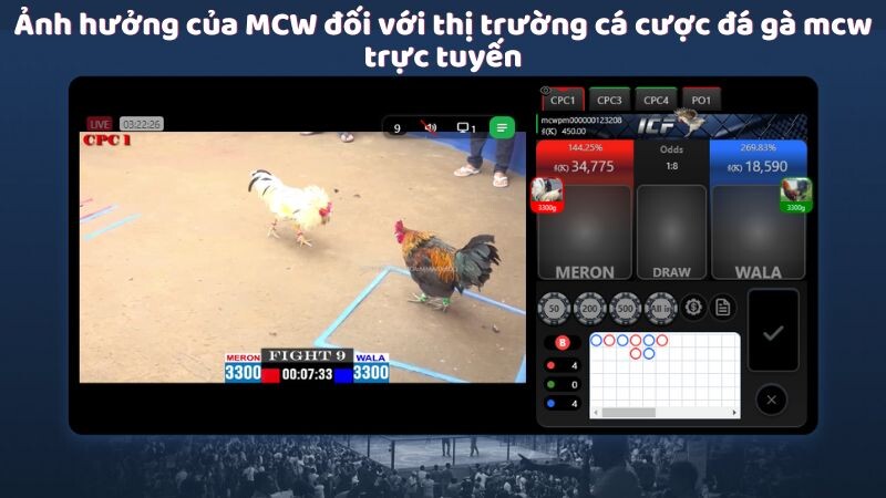 Ảnh hưởng của MCW đối với thị trường cá cược đá gà mcw trực tuyến