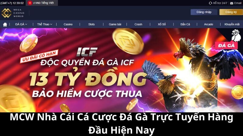 MCW - Trang cược đá gà mcw tốt nhất